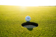 golf.free01