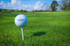 golf.free02