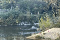 2022-10-26-Monte-de-Mansan-020